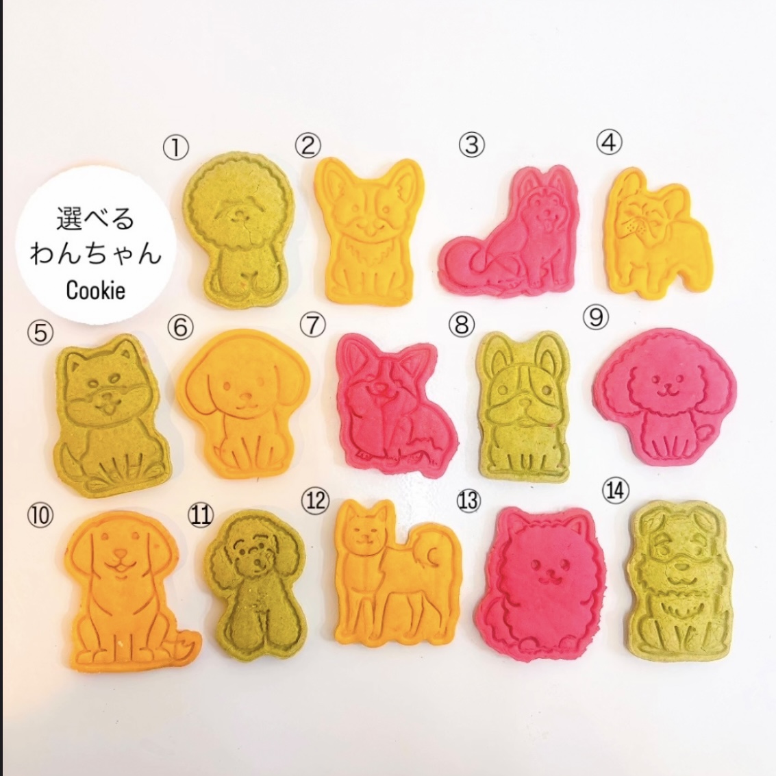 選べるわんちゃんクッキー