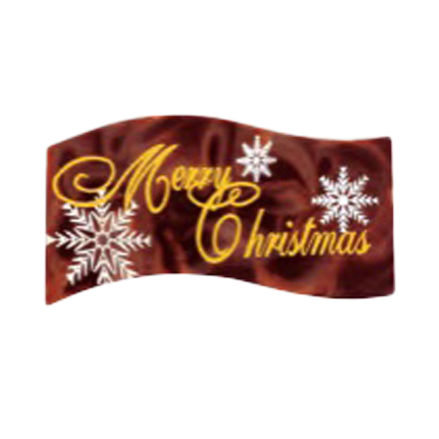 ⑥クリスマスプレート（12月お届け分）