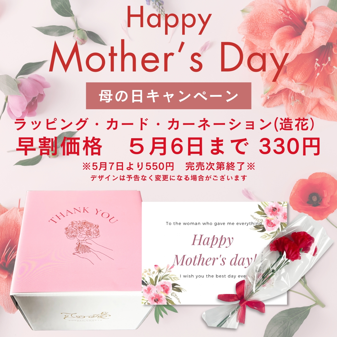 母の日早割有料(ラッピング・カード・カーネーション(造花))