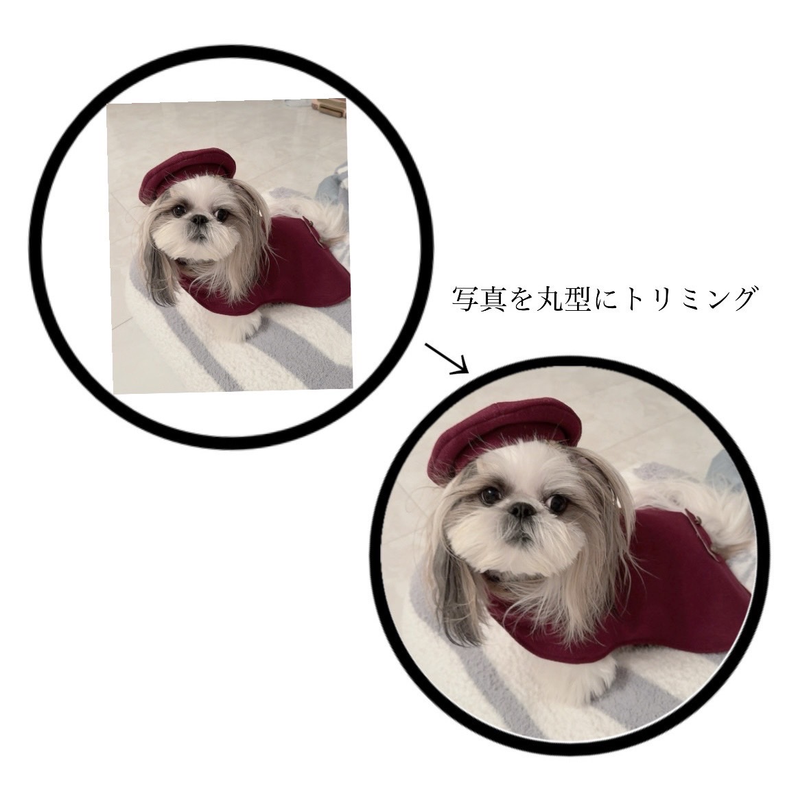 おまかせトリミング