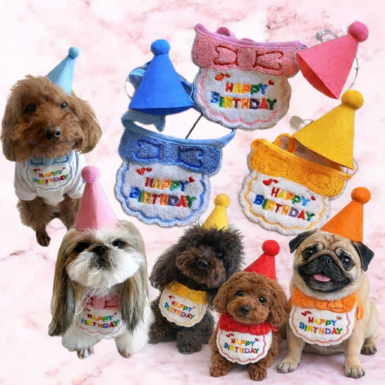 バンダナと帽子の主役セット