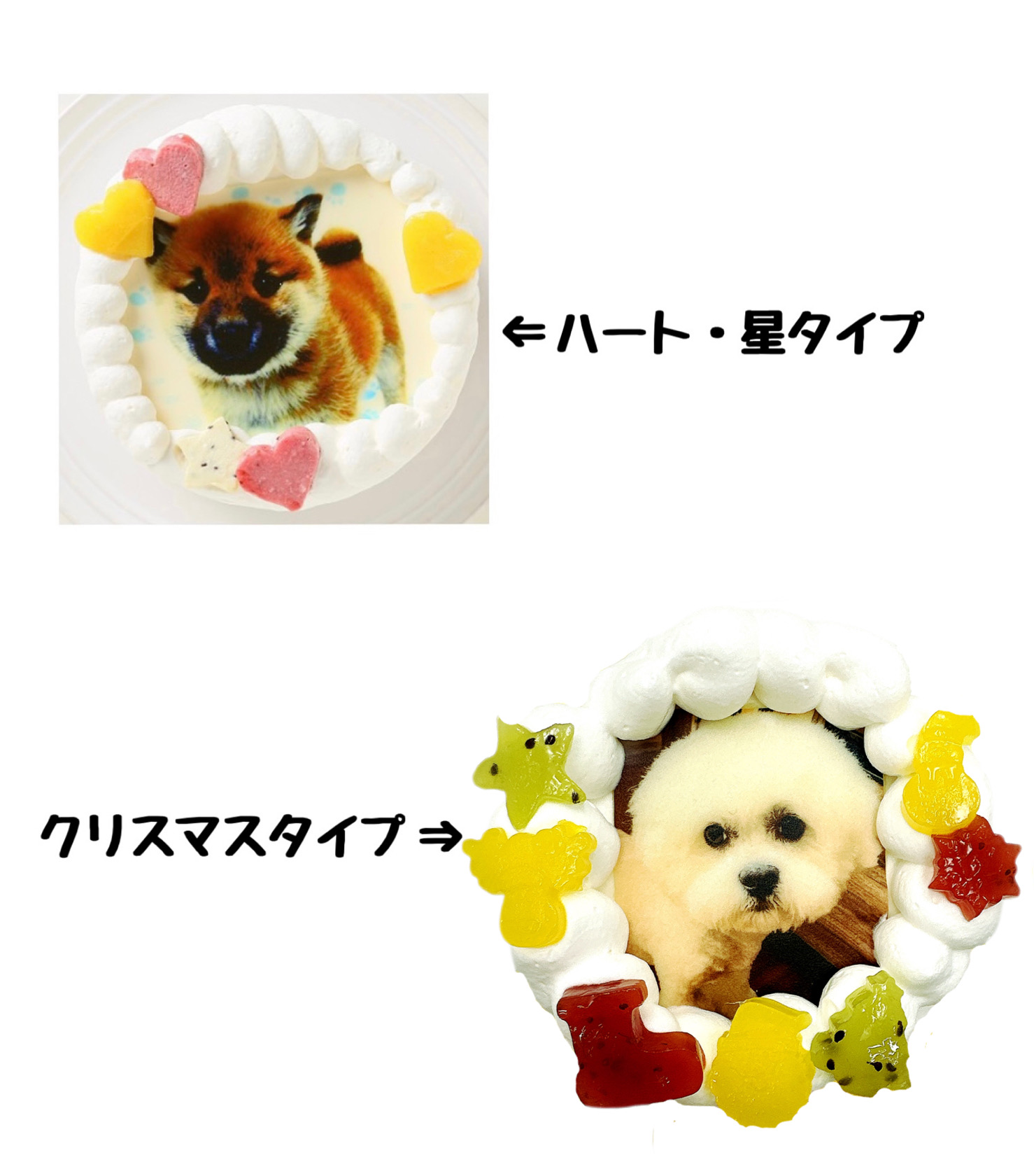 ゼリーの飾り