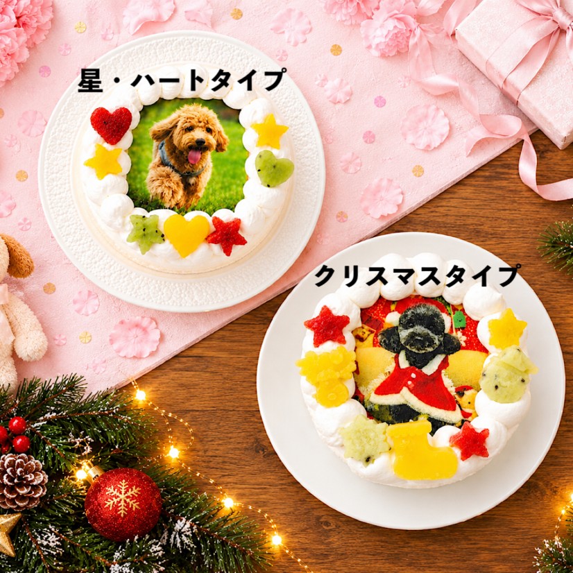 ゼリーの飾り