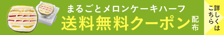 メロンケーキハーフ