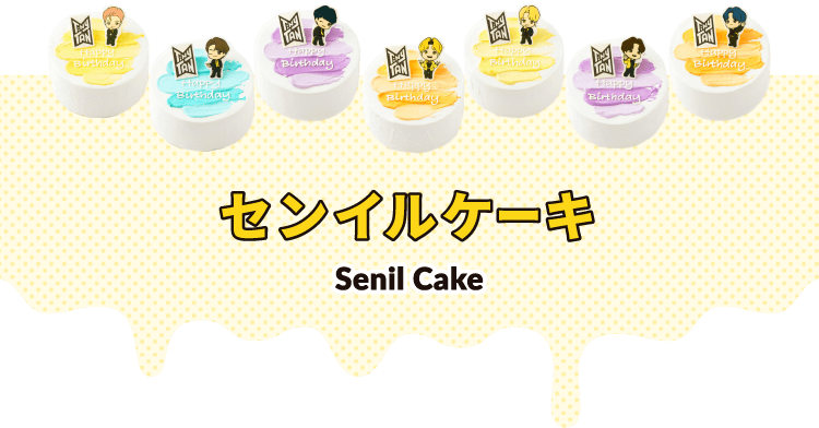 センイルケーキ SenilCake
