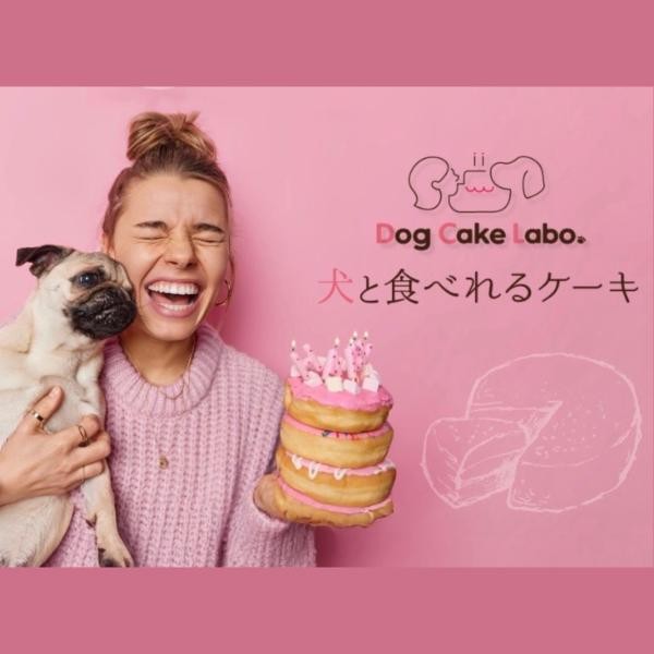 犬と食べれるケーキ dog cake labo