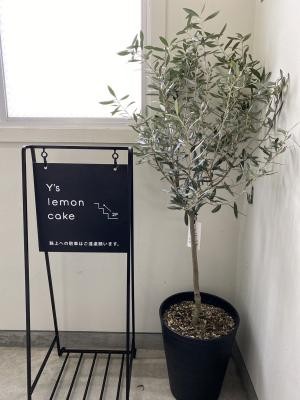 Y's lemon cake