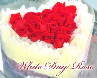 アイスケーキ　ホワイトデーローズ　エディブルフラワー食用花　バラ　12cm 5
