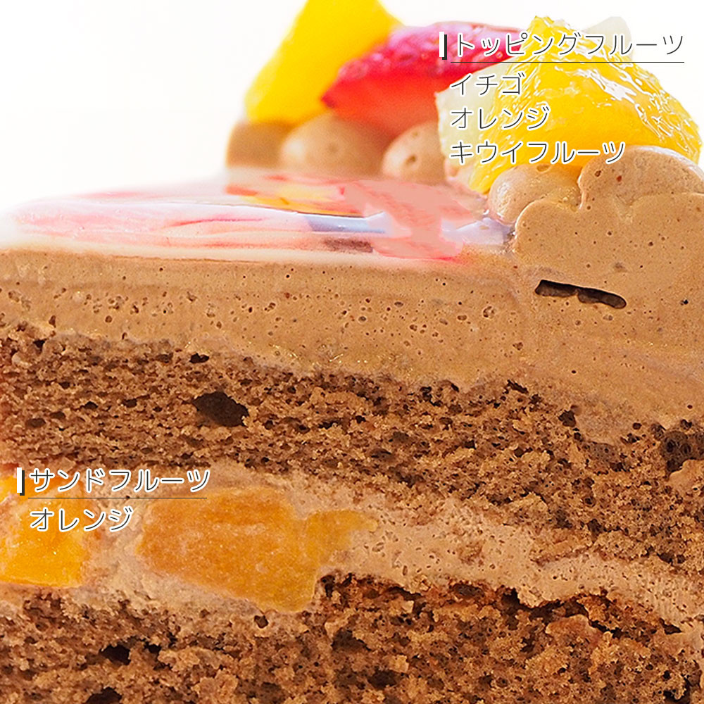 インスタ風写真ケーキ S ビスキュイ付フレッシュフルーツ乗せ生チョコクリームショートケーキ 22×14cm 6～8名様用 choco-birthdaygram 6