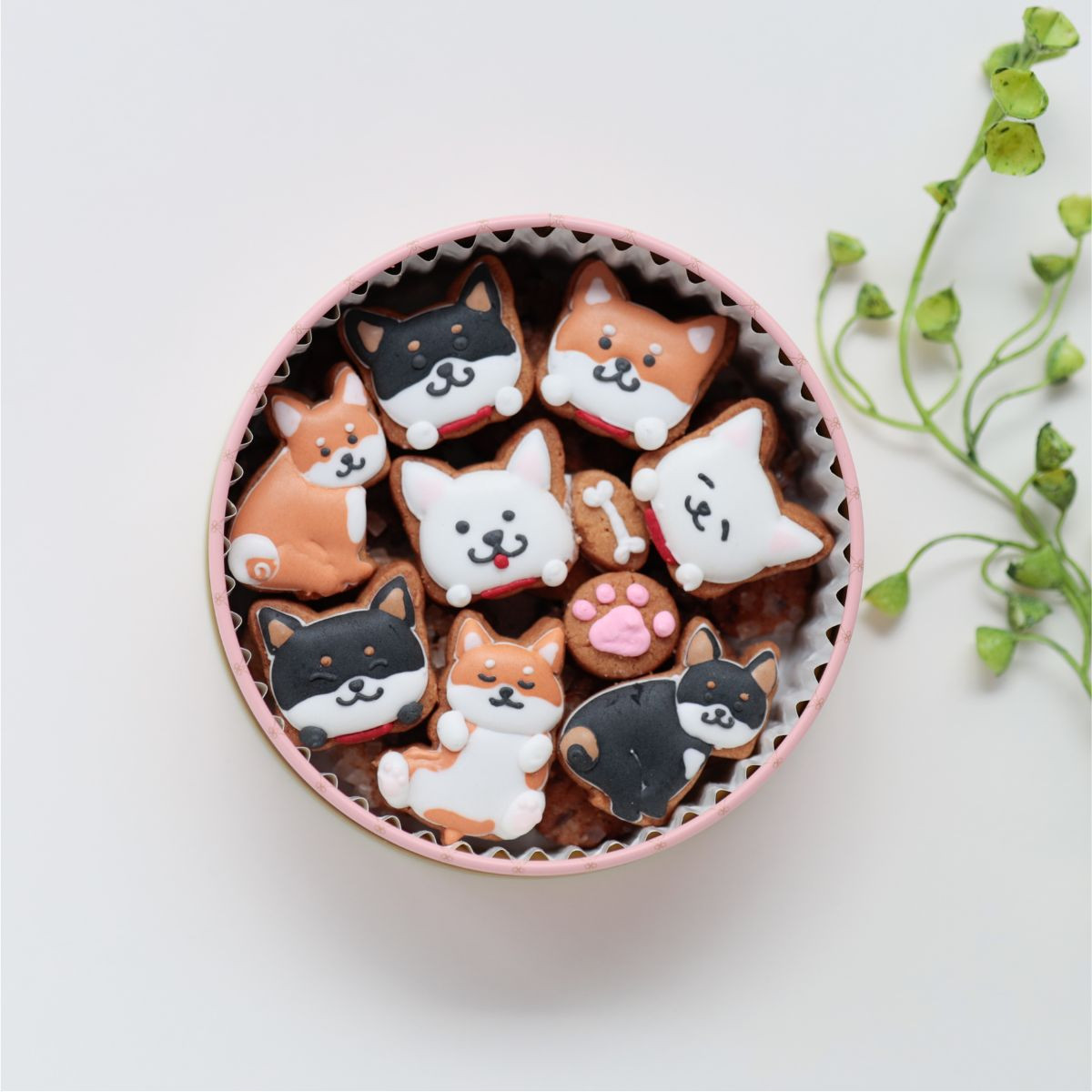 ybsOς݁zČverJtŉACVONbL[UNUNNbL[