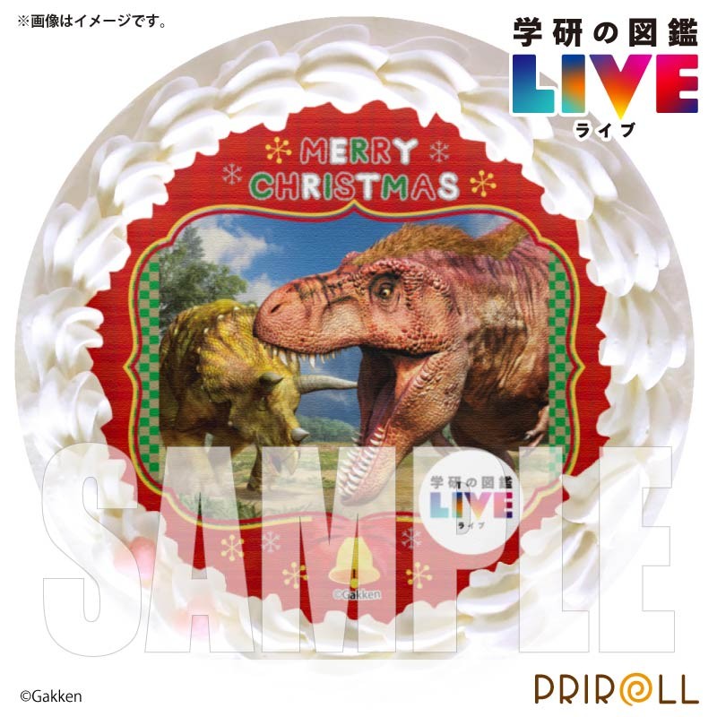 Xmas�v���P�[�L�i�����j�y���T�ʃo�b�W�t���z[�w���̐}��LIVE]5�� 15cm