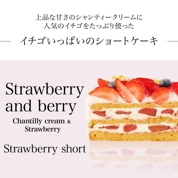 写真ケーキ　イチゴいっぱいショート　4号　12cm【パティスリーレコロレ】 2