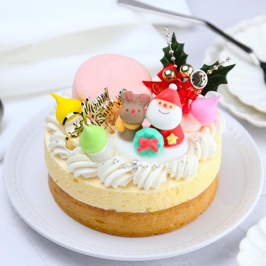 mGt}[W 4 12cm NX}X2025