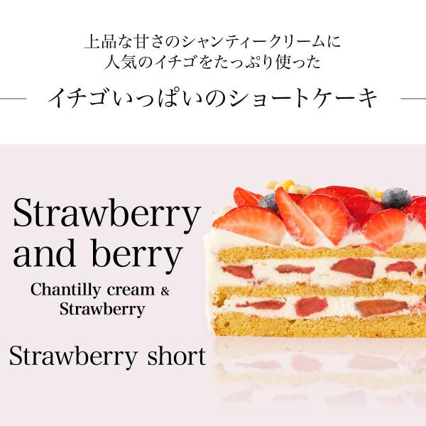 写真ケーキ イチゴいっぱいショート 5号 15cm【パティスリーレコロレ】（パティスリー レコロレ Cake.jp店） | Cake.jp