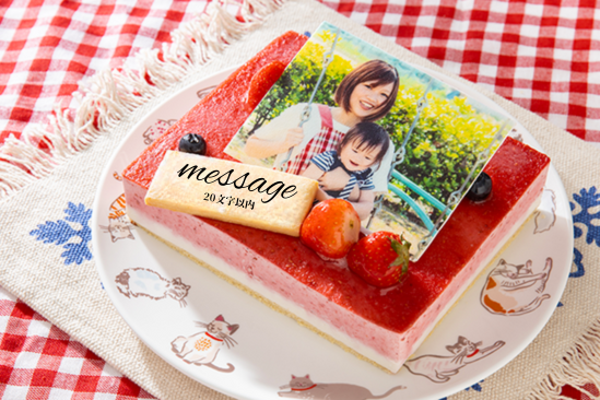 ᓜP[L ʐ^P[L 䕃RRibc 17×13.5cm 5.5