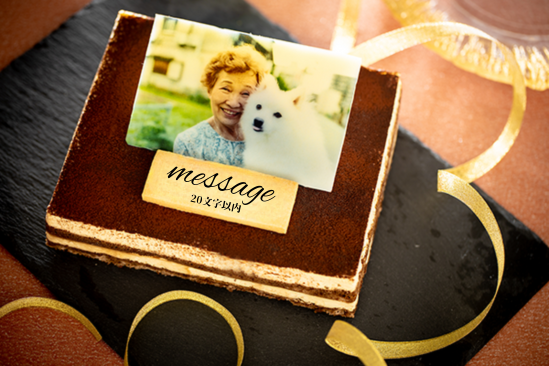 ᓜP[L ʐ^P[L eB~X 13.5×11cm 4.5