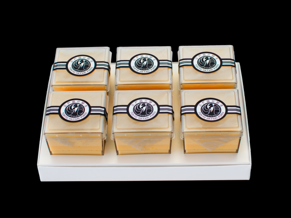 yԌz]˗swzigELEnvj 6