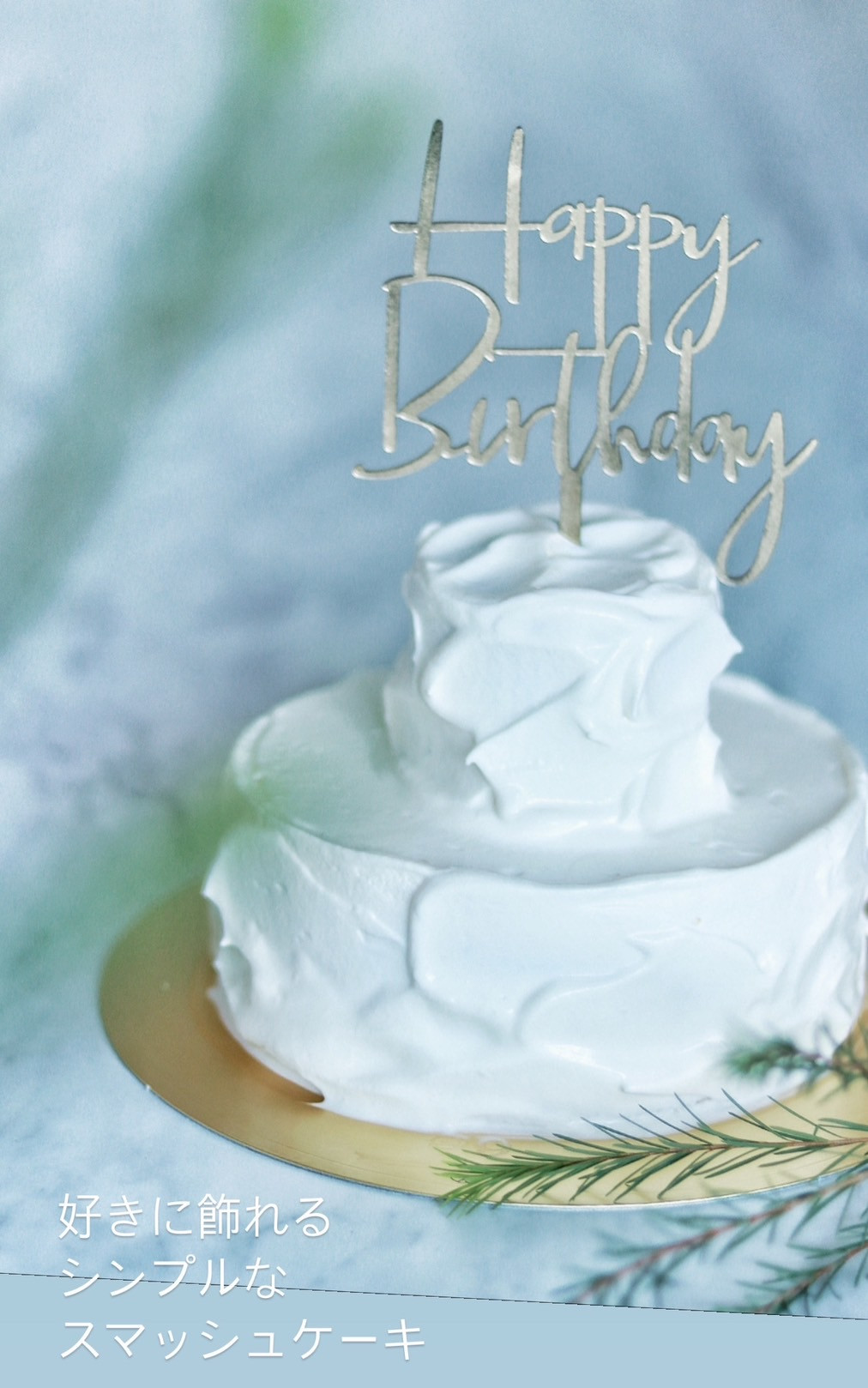 yăVvzEo^[Esgp t@[Xgo[Xf[ X}bVP[L 5 2i