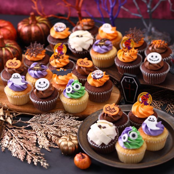 XyVnEBp[eB{bNXi24jnEB2025