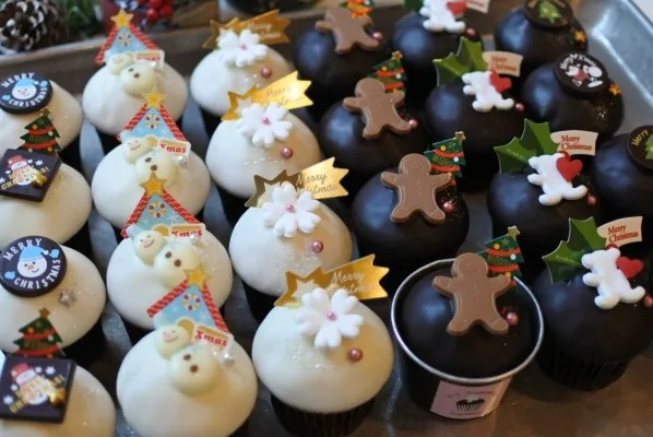 NX}Xp[eB`R[g 24 NX}X 2025