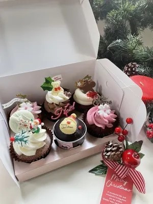 NX}XJbvP[L6Box NX}X 2025