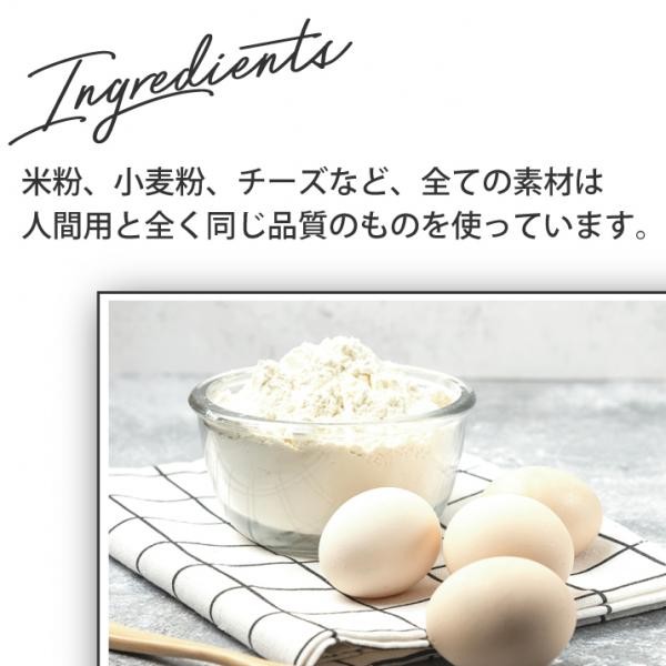 ワンコのためのシュークリーム 犬用ケーキ 6個セット Niko Gifts Sweets Cake Jp