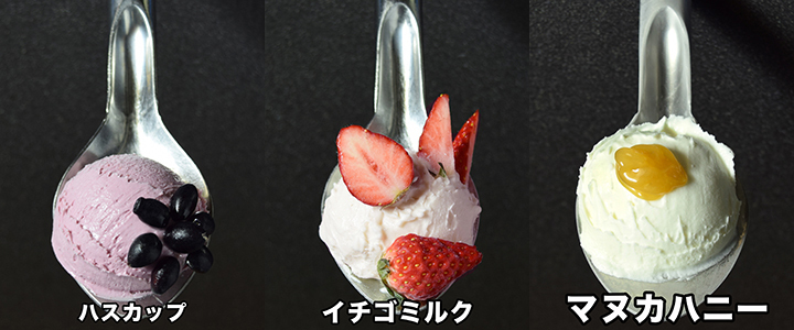 選べるジェラート6個セット （Rimo） | Cake.jp