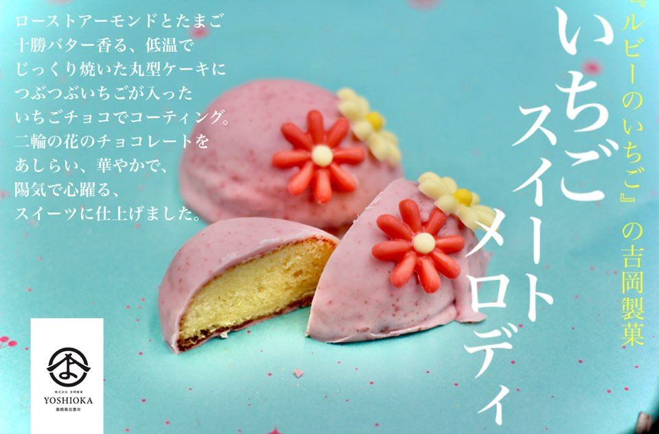 s XC[gfB U tsP[LtWG[{bNX DAIFUKU 肪Ƃ 啟  erŘb
