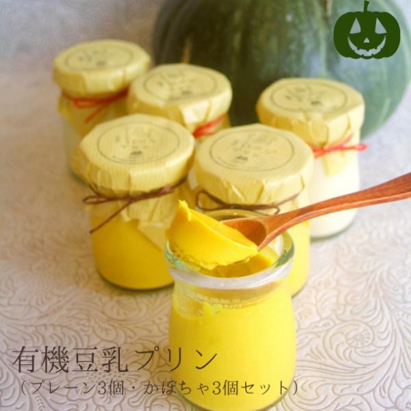 yԌzL@viv[3Aڂ3jsB[KXC[ctsOet[t