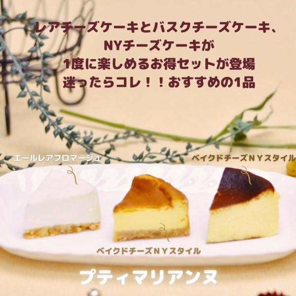 プティマリアンヌ バスクチーズ レアチーズ ベイクドnyチーズケーキ ラ フロマージュ マリアンヌ Cake Jp