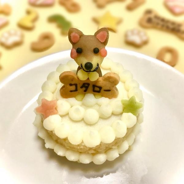 犬用 愛犬マスコットケーキ 米粉スポンジ 6cm わんこケーキ サポートgioia Cake Jp