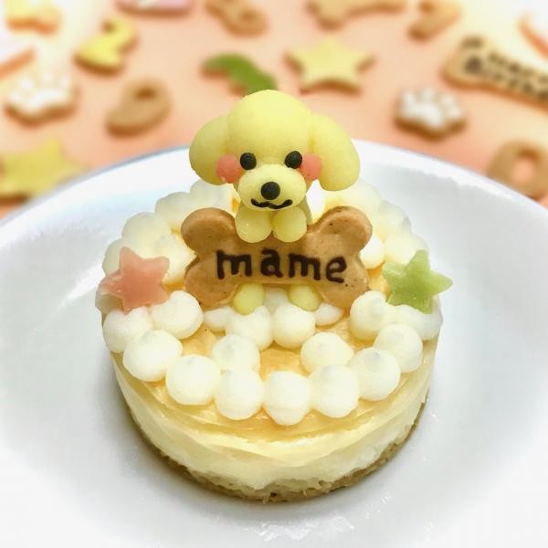 犬用 愛犬マスコットケーキ ベイクドチーズ 6cm わんこケーキ サポートgioia Cake Jp
