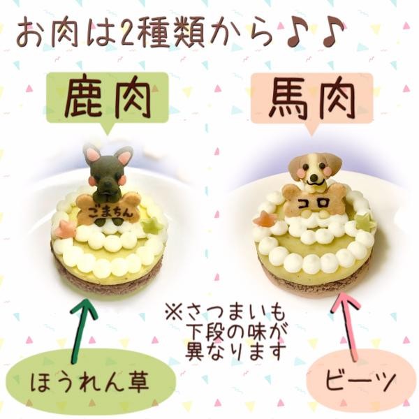 犬用 愛犬マスコットケーキ お肉ケーキ 6cm わんこケーキ サポートgioia Cake Jp