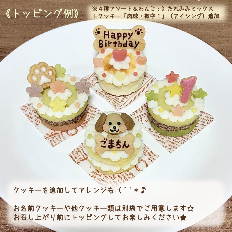 犬用》選べるわんこのミニケーキ４個セット（わんこケーキgioia） | Cake.jp