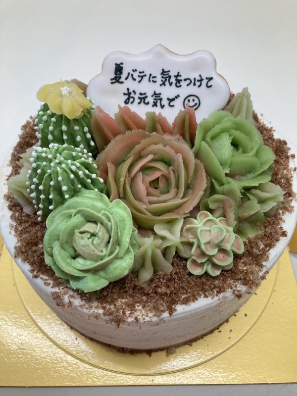 多肉風ケーキ 5号 15cm For You Cake Jp
