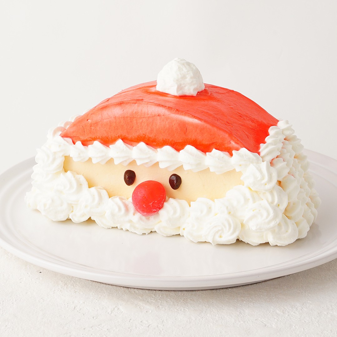 ハーフケーキ サンタクロース 5号ハーフ クリスマス21 Cloud Cake Shop Cake Jp