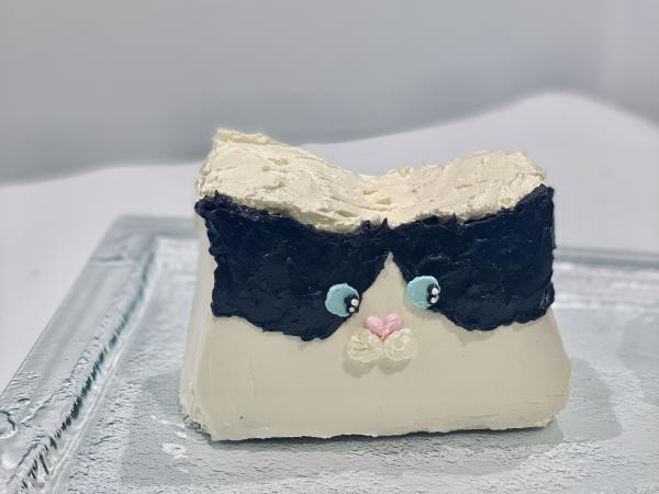 センイルケーキ 韓国で人気の立体動物ケーキ 色と模様がオーダーできる Creve Cake Jp