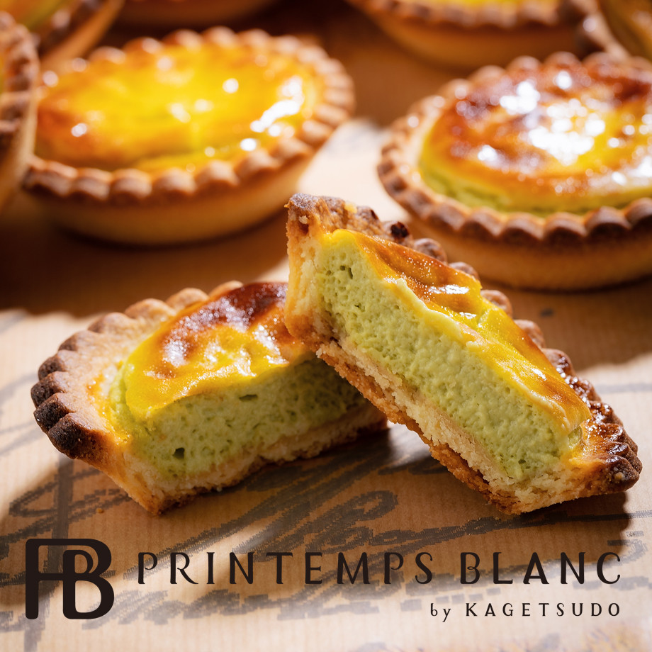 ̔n`[Y^g a8cm ①iƓs (ctartm-3t)