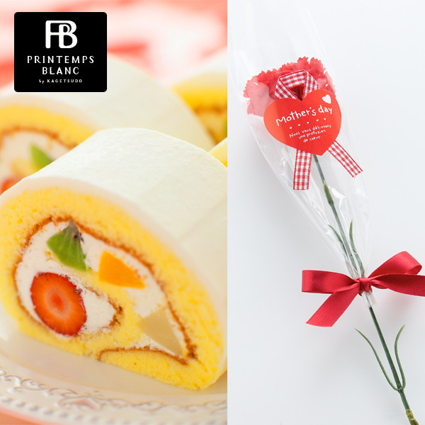 プランタンヌーボー&母の日カーネーションセット(pppm1-2f)