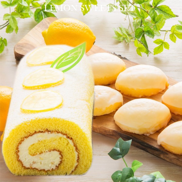 ݂͂[P[L6Zbg(hlemonset-3f)