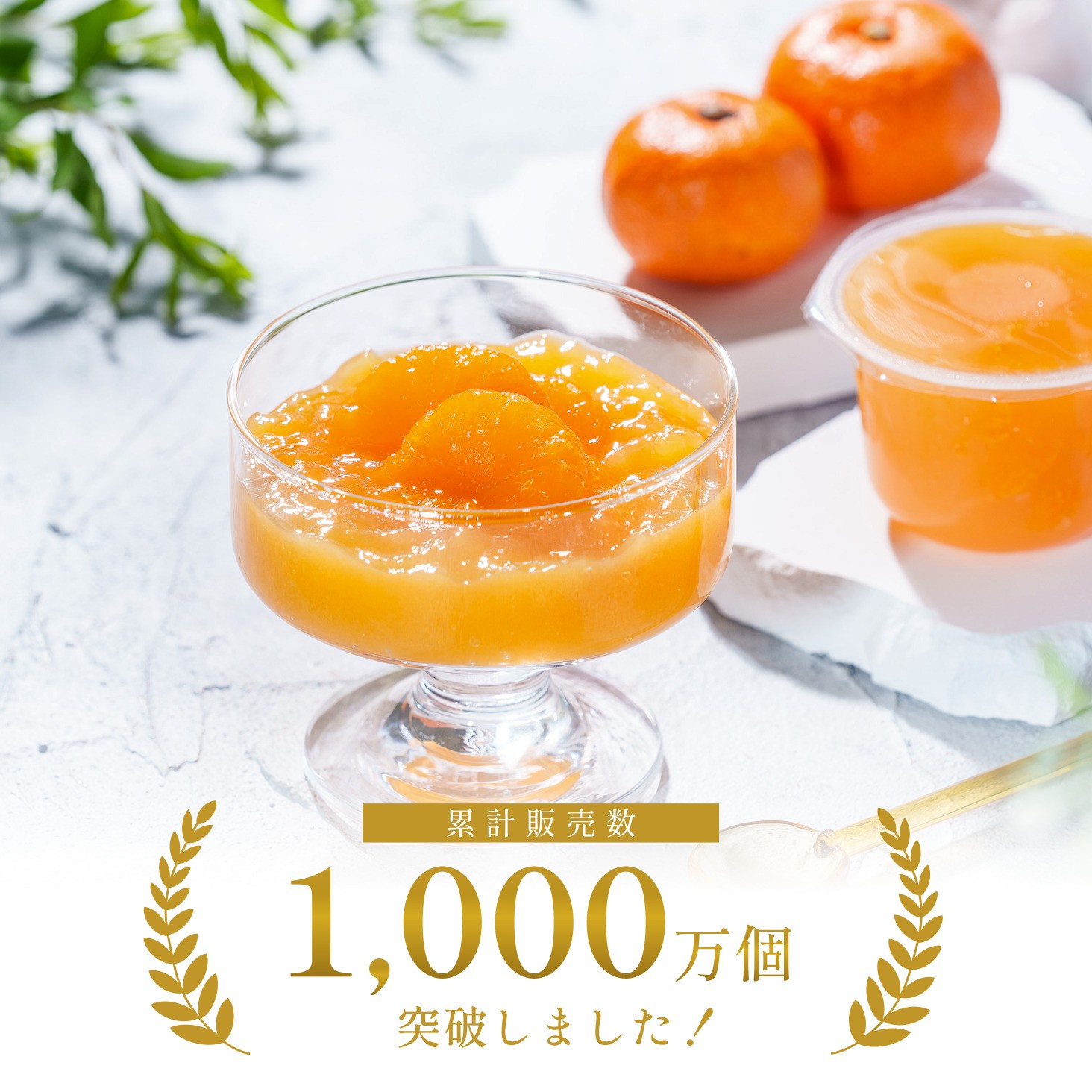 y~`za̎RELcY݂[[ iSj