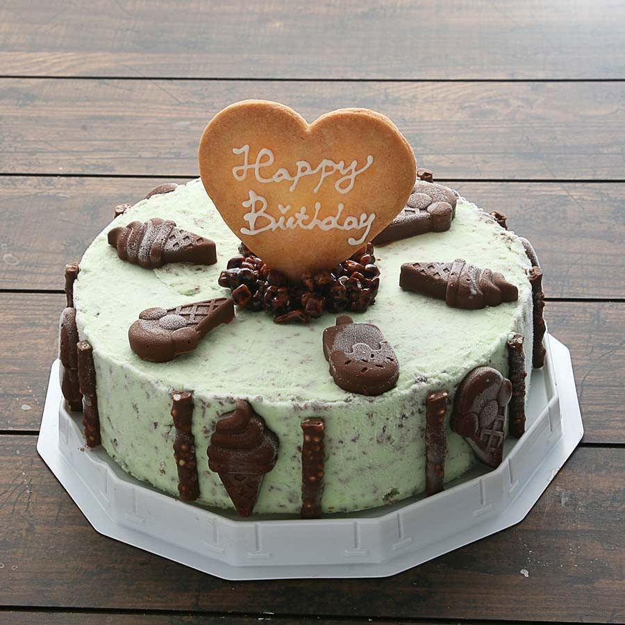 チョコミント ミントチョコレートアイスケーキ 6号 18 直径 6人 8人分 魁ジェラート Cake Jp