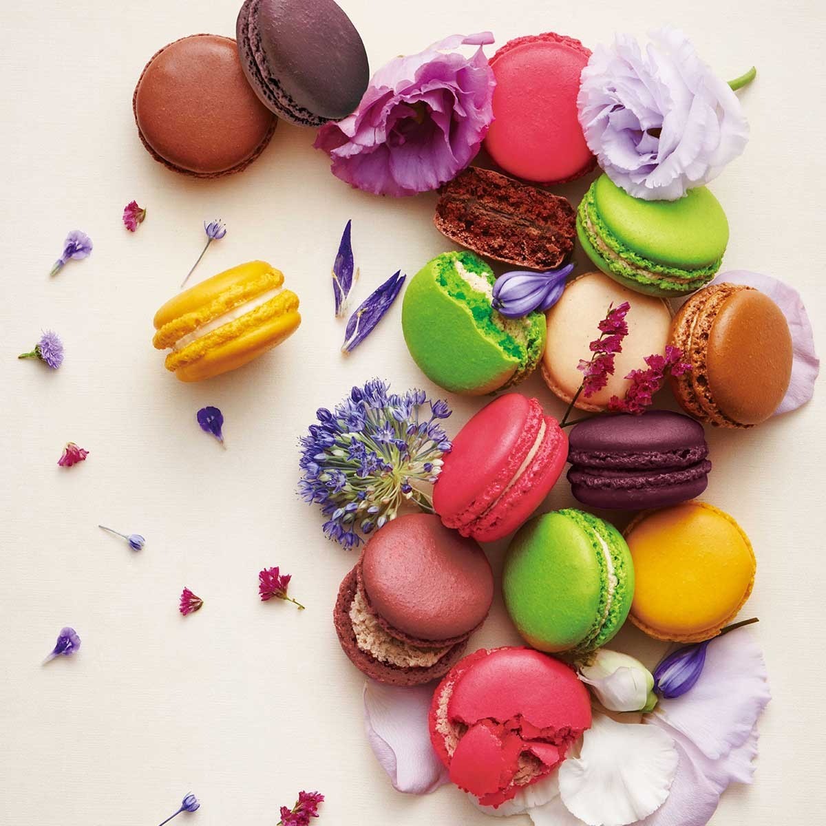 【ダロワイヨ】季節のマカロン入り詰め合わせ（8個入）