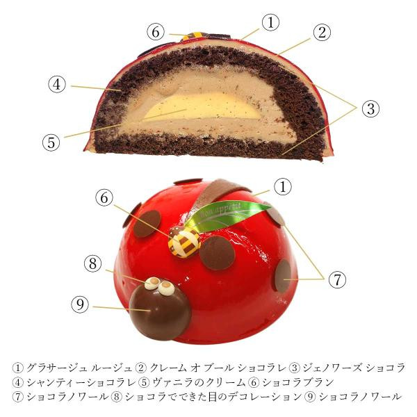 ダロワイヨ コクシネル ダロワイヨ Cake Jp