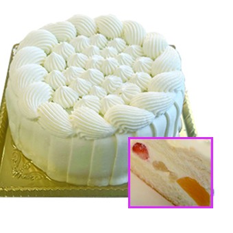 mGbO NX}XP[Lysgpz 5 16cm ؽϽ2025