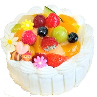 mGbOisgpjN[ƃt[c4 NX}X2025