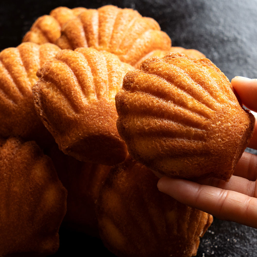 z̃}h[k 9Zbg [ }h[k Ăَq ] ylXC[cAJf~[z