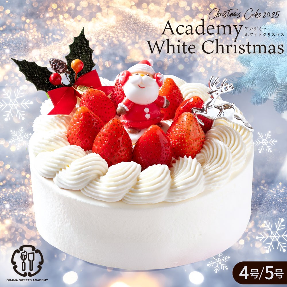  NX}XP[L 2025 Academy White ChristmasiAJf~[EzCgNX}Xj4 P[L