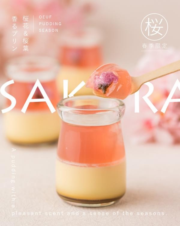 【期間限定】うっふぷりん さくらプリン 5個入 