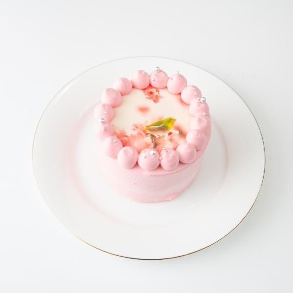 パステルカラー写真ケーキ♪選べる8色 誕生日ケーキや記念日などのお祝いに♪（プリントケーキ、バースデーケーキ） 3号 9cm 6